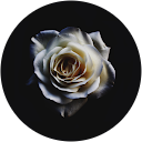 Exalted Rubble profile picture